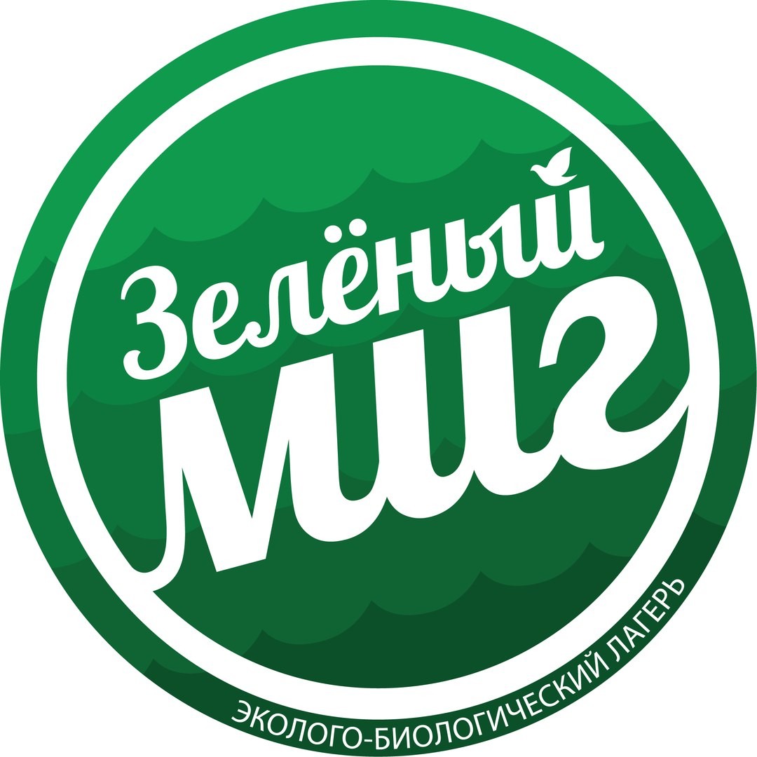 Привет зеленым цветом. Зелёный миг лагерь. Зеленый миг лагерь Волгоград. Биологический лагерь. Логотип для биолого-экологического лагеря.