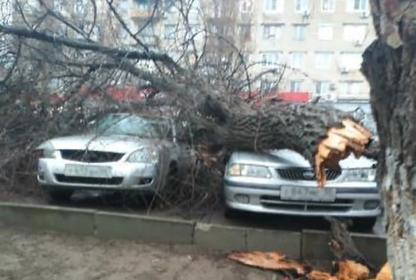 Рухнул от звука труб. Ульяновск Камышинская. Упало дерево на машину. Кропоткин пострадало от ветра.